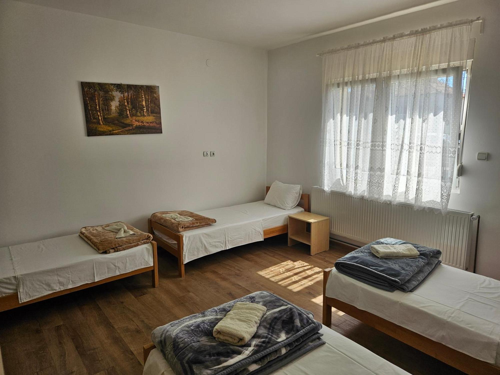 Apartments Kuca Aleksic Ni Esterno foto