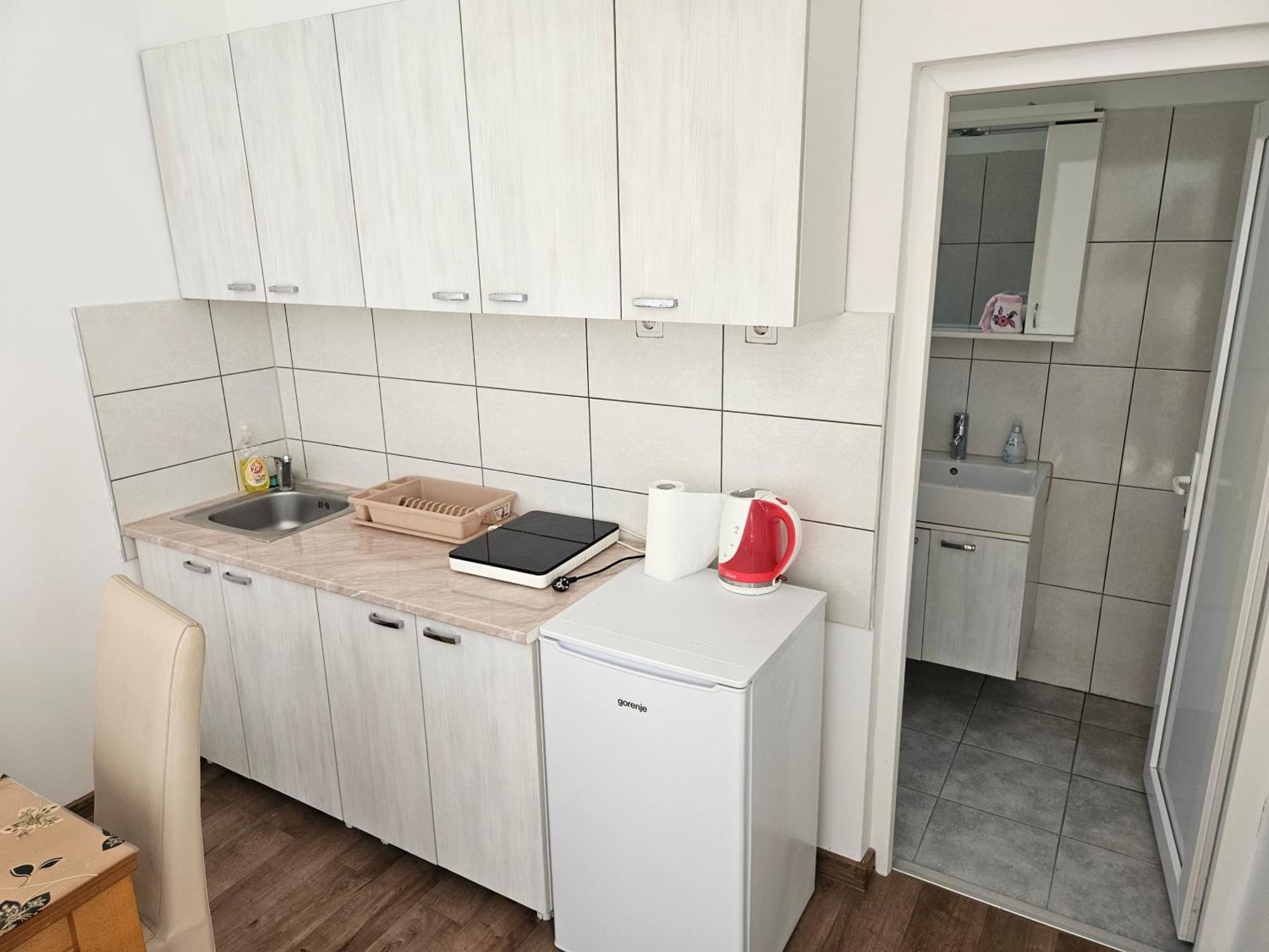 Apartments Kuca Aleksic Ni Esterno foto